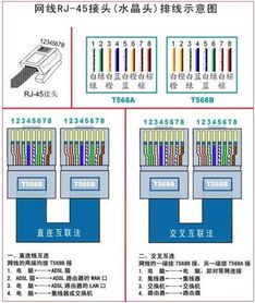 家庭网络布线指南 网线插座与弱电箱水晶头接线详解